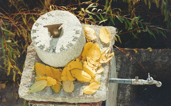 Stein10 001