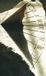 Stein47 001